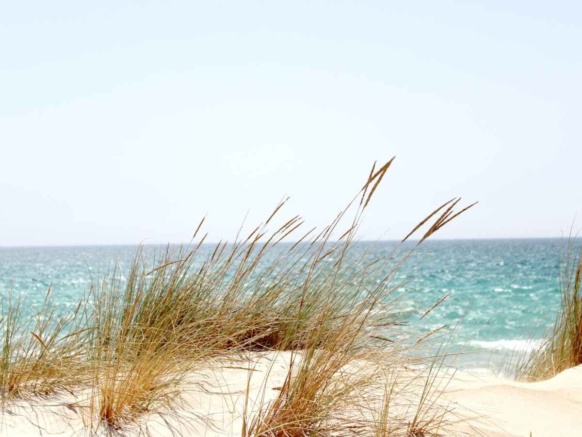 Tystlåtenhet, försiktighet, måttlighet och&nbsp;barmhärtighet